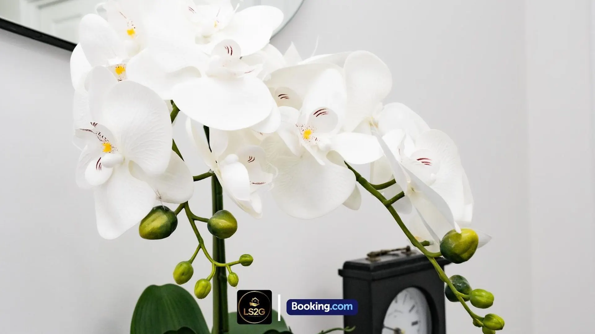 Cosy 1 Bedroom Apt By Ls2G Short Lets & Serviced Accommodation Greater London With Free Wifi 0*,  Regno Unito